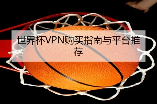 世界杯VPN购买指南与平台推荐