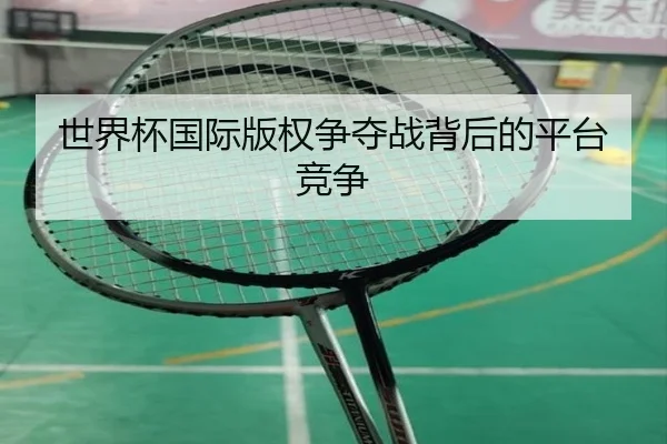世界杯国际版权争夺战背后的平台竞争