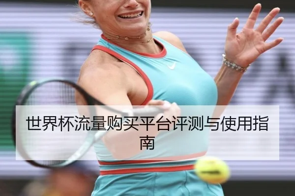 世界杯流量购买平台评测与使用指南