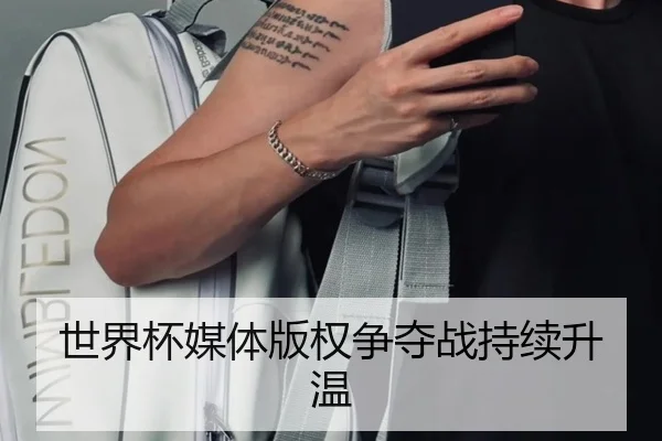 世界杯媒体版权争夺战持续升温