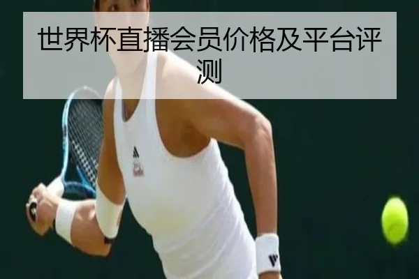 世界杯直播会员价格及平台评测