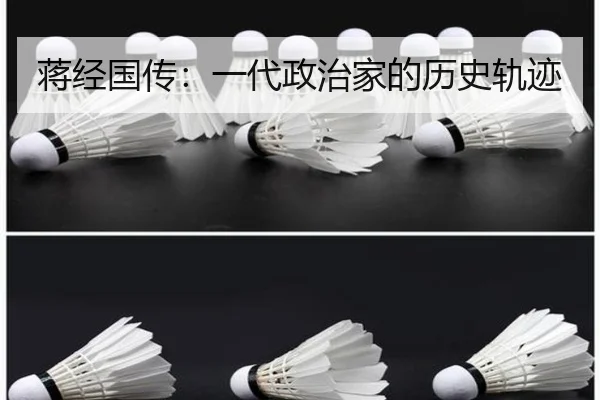 蒋经国传：一代政治家的历史轨迹